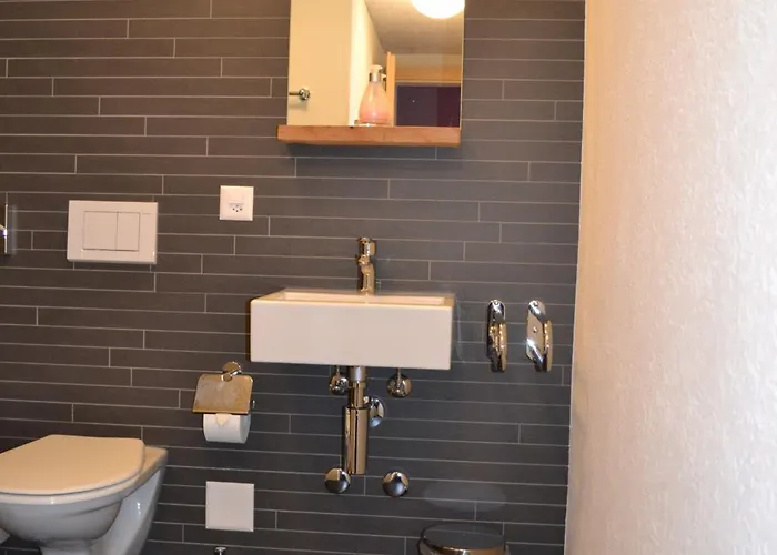 拉提亚酒店 3* Ilanz/Glion